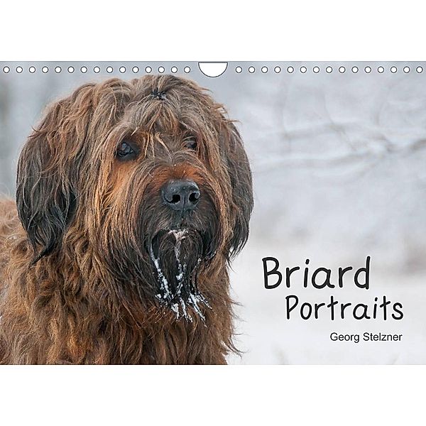 Briard Portraits (Wandkalender 2023 DIN A4 quer), Georg Stelzner