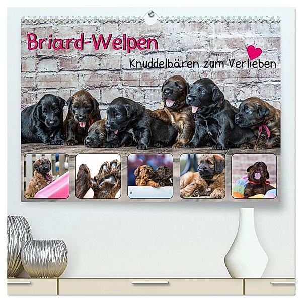 Briard-Welpen - Knuddelbären zum Verlieben (hochwertiger Premium Wandkalender 2024 DIN A2 quer), Kunstdruck in Hochglanz, Sonja Teßen