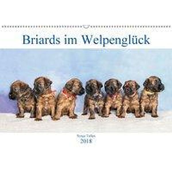 Briards im Welpenglück (Wandkalender 2018 DIN A2 quer), Sonja Teßen