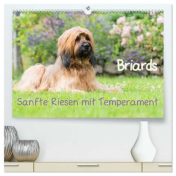 Briards - sanfte Riesen mit Temperament (hochwertiger Premium Wandkalender 2024 DIN A2 quer), Kunstdruck in Hochglanz, Sonja Teßen