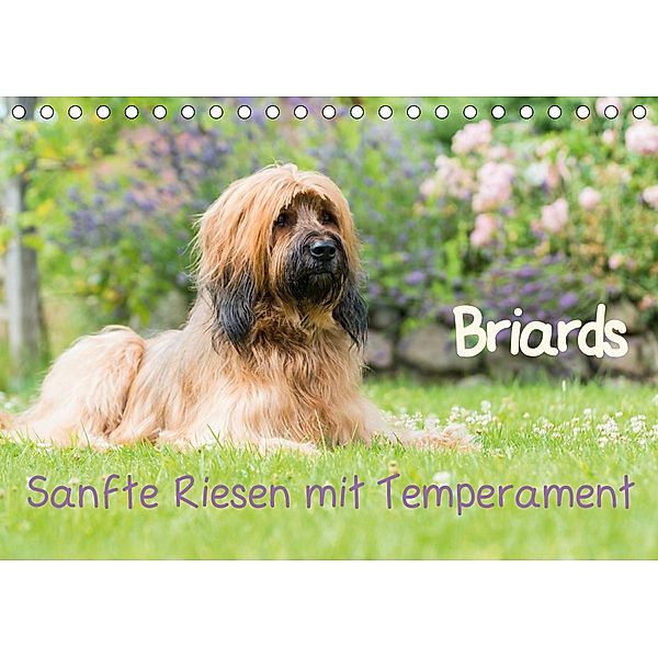 Briards - sanfte Riesen mit Temperament (Tischkalender 2021 DIN A5 quer), Sonja Teßen