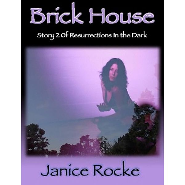 Brick House: Story 2 of Resurrections In the Dark, Janice Rocke