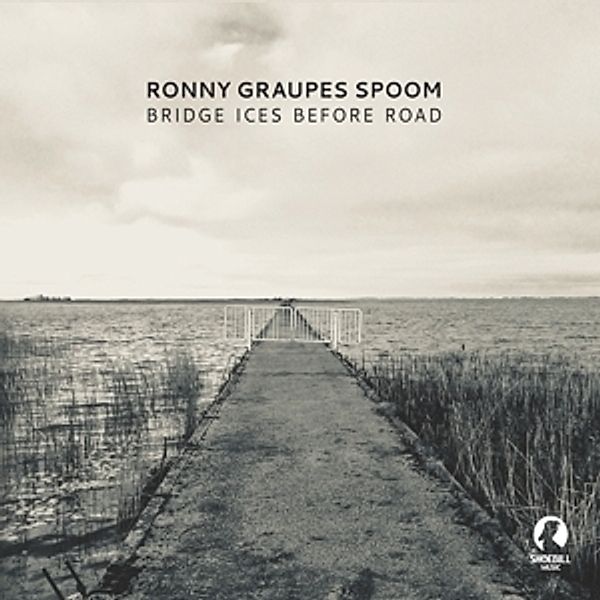 Bridge Ices Before Road, Ronny Graupe'S Spoom