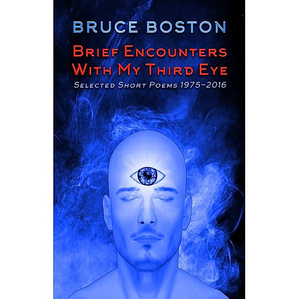 Brief Encounters with my Third Eye: Selected Poems, Bruce Boston