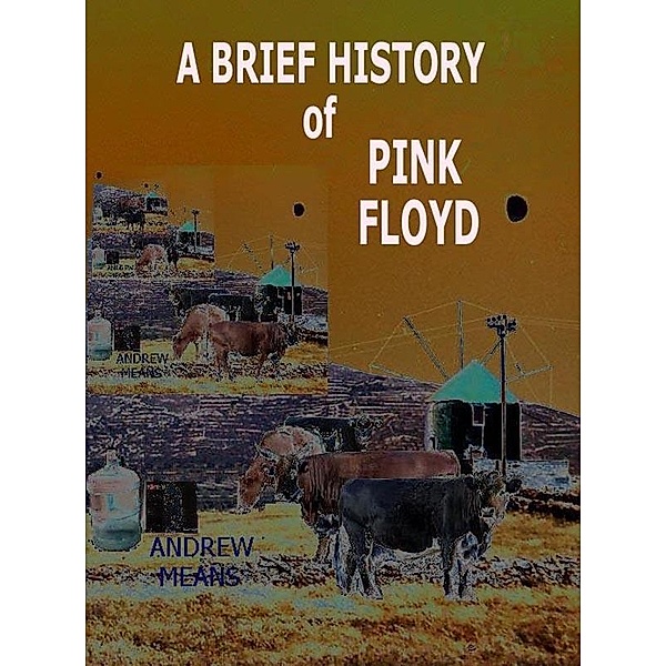 Brief History Of Pink Floyd / Andrew Means, Andrew Means