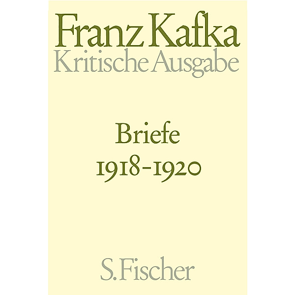 Briefe 1918-1920 / Briefe Franz Kafka Bd.4, Franz Kafka