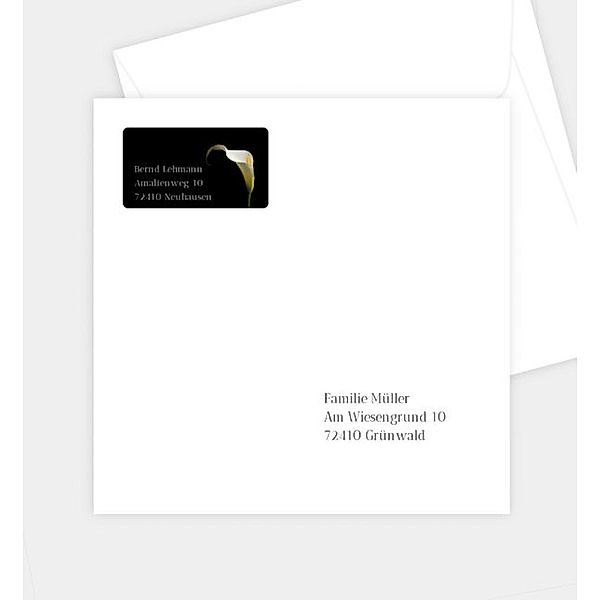 Briefumschlag Calla, Briefumschlag gerade (160 x 160mm)