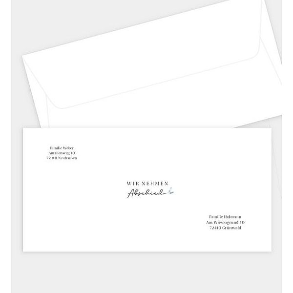 Briefumschlag Consuelo, DIN lang Briefumschlag gerade (220 x 110mm)