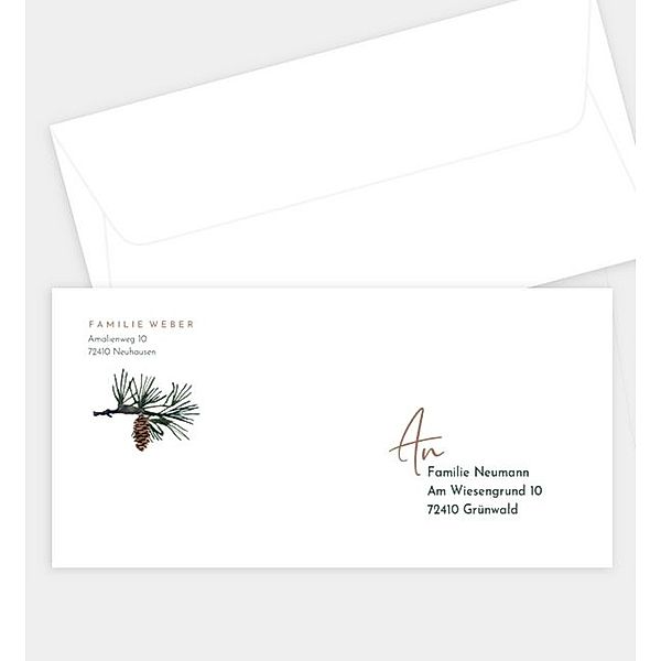 Briefumschlag Fichtenzweig, DIN lang Briefumschlag gerade (220 x 110mm)