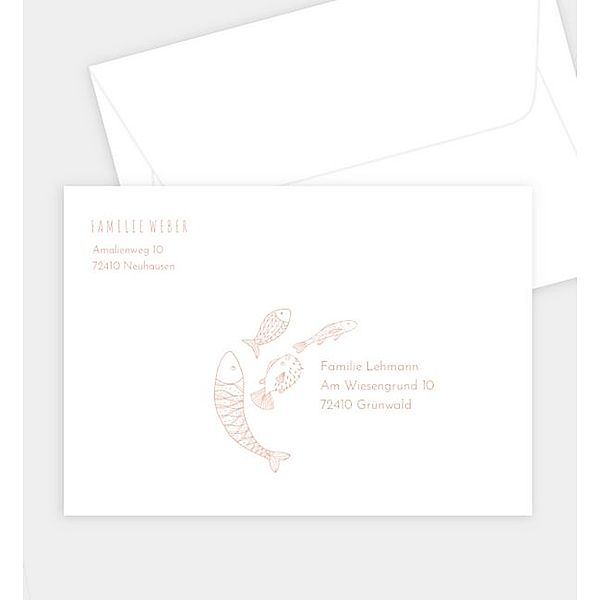 Briefumschlag Fischschwarm, C6 Briefumschlag gerade (162 x 114mm)