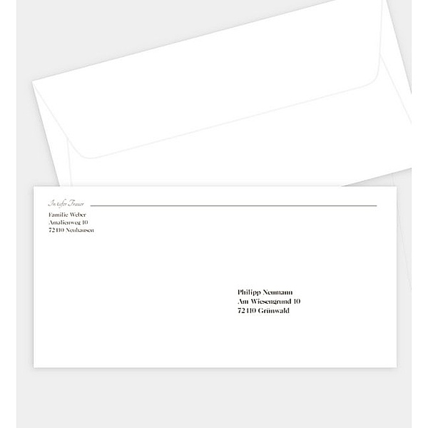 Briefumschlag Leise Flügel, DIN lang Briefumschlag gerade (220 x 110mm)