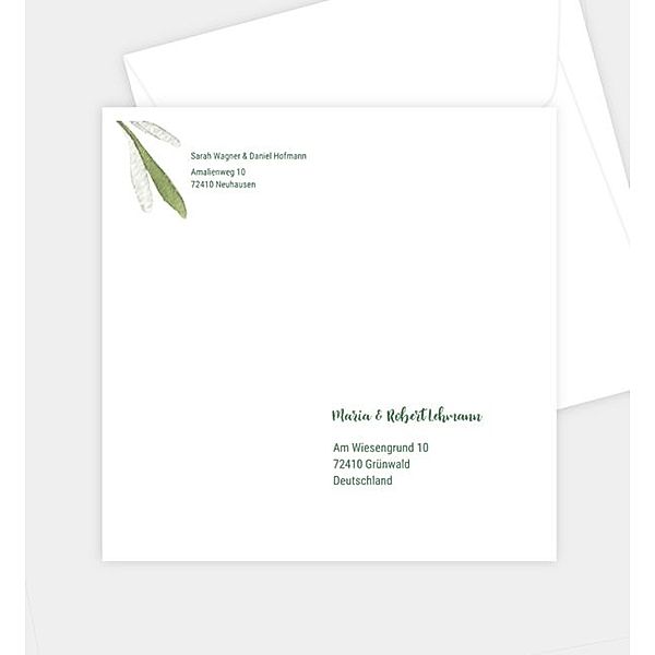Briefumschlag Olivenzweig, Briefumschlag gerade (160 x 160mm)