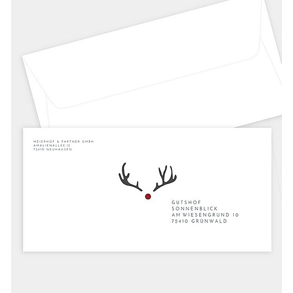 Briefumschlag Rudolf, DIN lang Briefumschlag gerade (220 x 110mm)
