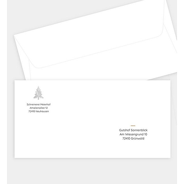 Briefumschlag Silberne Tanne, DIN lang Briefumschlag gerade (220 x 110mm)