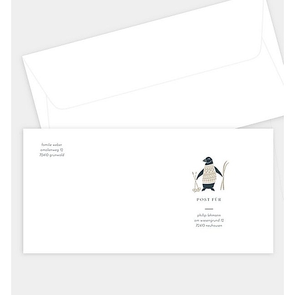 Briefumschlag Skiing Penguin, DIN lang Briefumschlag gerade (220 x 110mm)