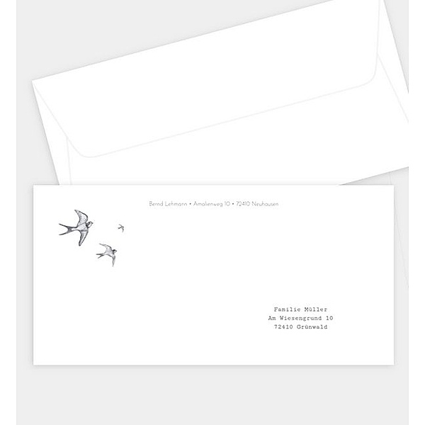 Briefumschlag Swallow, DIN lang Briefumschlag gerade (220 x 110mm)