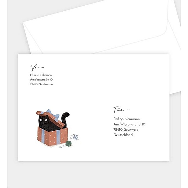Briefumschlag Turbulent Cat, B6 Briefumschlag gerade (176 x 125mm)