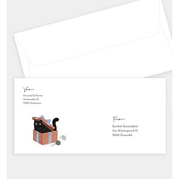 Briefumschlag Turbulent Cat, DIN lang Briefumschlag gerade (220 x 110mm)