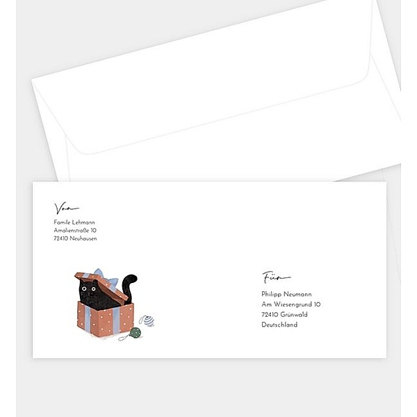 Briefumschlag Turbulent Cat, DIN lang Briefumschlag gerade (220 x 110mm)