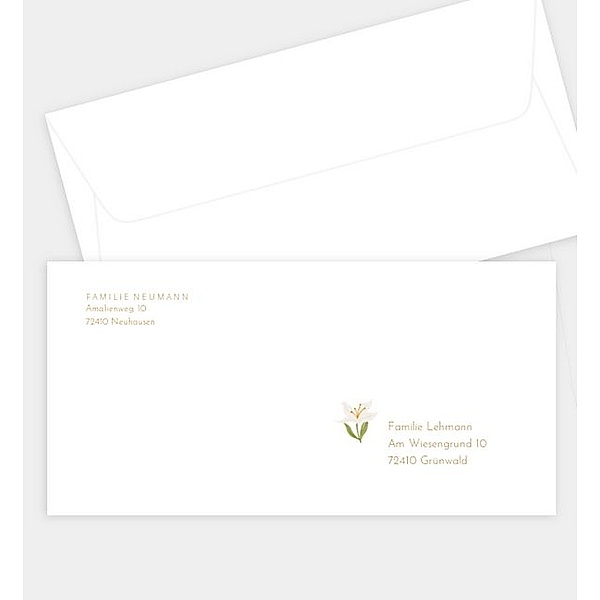 Briefumschlag Zarte Taube, DIN lang Briefumschlag gerade (220 x 110mm)