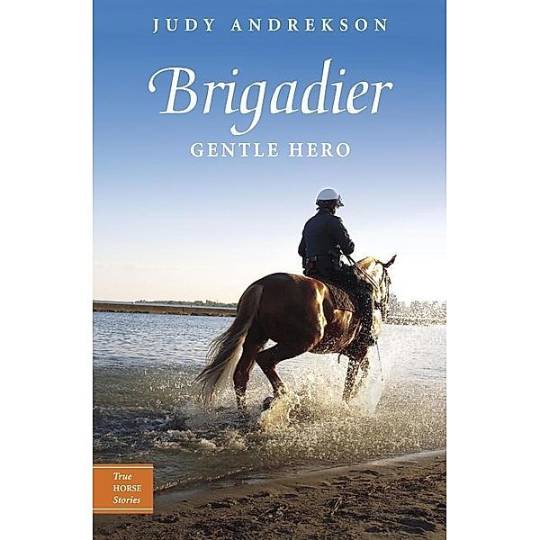 Brigadier / True Horse Stories Bd.4, Judy Andrekson