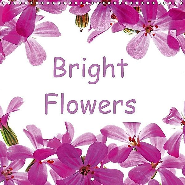 Bright Flowers (Wall Calendar 2017 300 × 300 mm Square), Klaus Eppele
