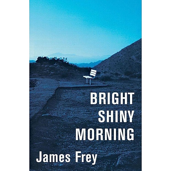 Bright Shiny Morning, James Frey