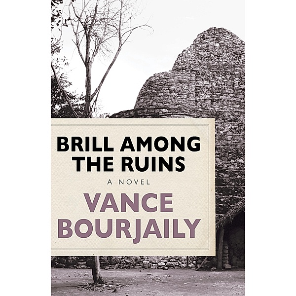 Brill Among the Ruins, Vance Bourjaily