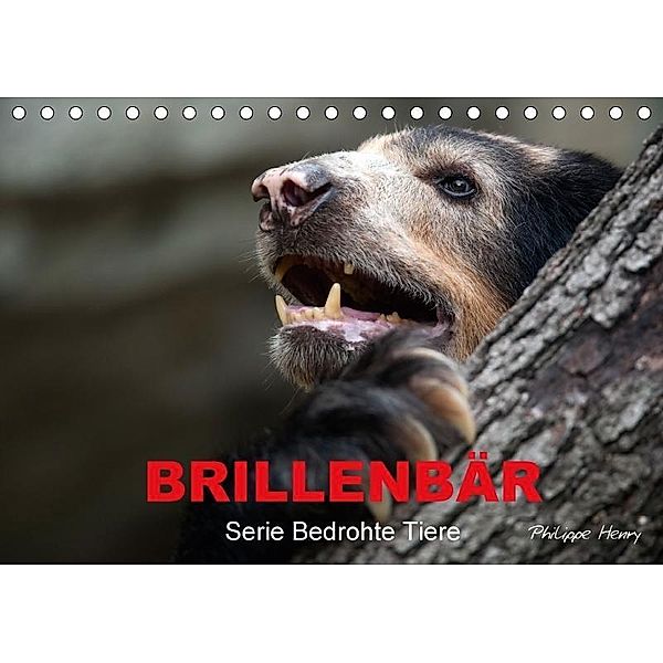 BRILLENBÄR (Tischkalender 2017 DIN A5 quer), Philippe Henry