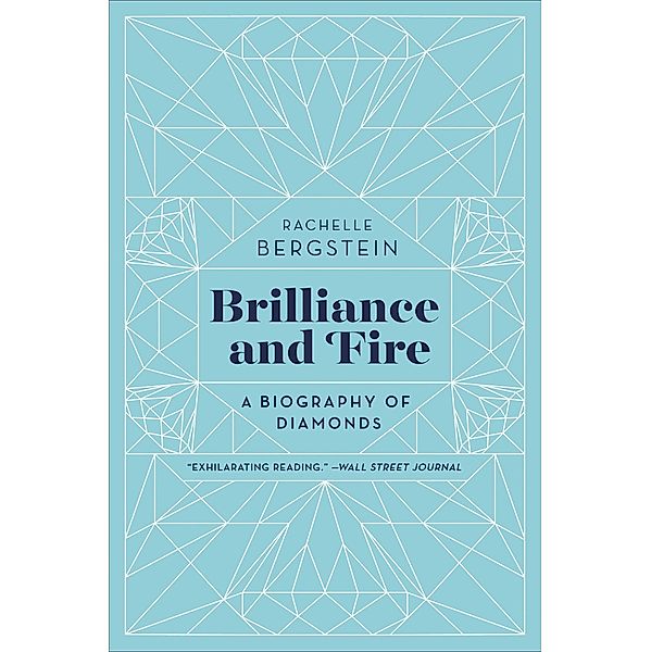 Brilliance and Fire, Rachelle Bergstein