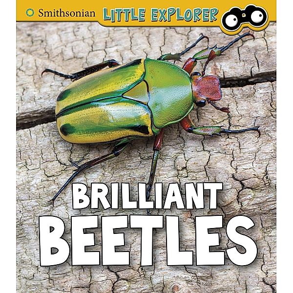 Brilliant Beetles, Melissa Higgins