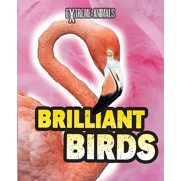 Brilliant Birds, Isabel Thomas