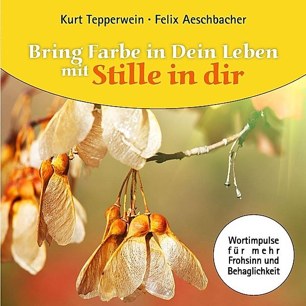 Bring Farbe in Dein Leben mit Stille in dir, Kurt Tepperwein, Felix Aeschbacher