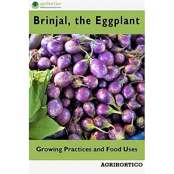 Brinjals, the Eggplant, Agrihortico Cpl