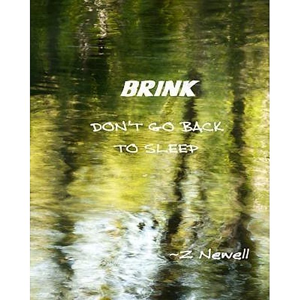 BRINK / Blue Skyz Unlimited, Z. Newell