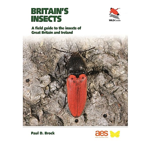 Britain's Insects / WILDGuides of Britain & Europe Bd.27, Paul D. Brock