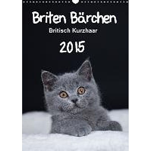 Briten Bärchen Britisch Kurzhaar 2015 (Wandkalender 2015 DIN A3 hoch), Heidi Bollich