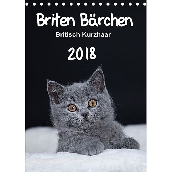 Briten Bärchen - Britisch Kurzhaar 2018 (Tischkalender 2018 DIN A5 hoch), Heidi Bollich