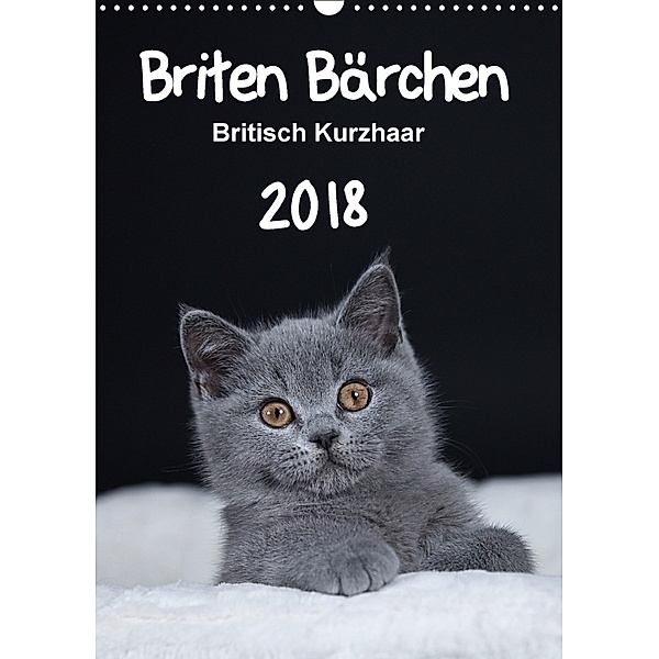 Briten Bärchen - Britisch Kurzhaar 2018 (Wandkalender 2018 DIN A3 hoch), Heidi Bollich