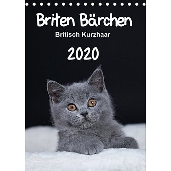 Briten Bärchen - Britisch Kurzhaar 2020 (Tischkalender 2020 DIN A5 hoch), Heidi Bollich