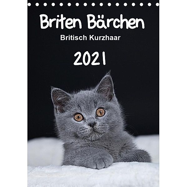 Briten Bärchen - Britisch Kurzhaar 2021 (Tischkalender 2021 DIN A5 hoch), Heidi Bollich