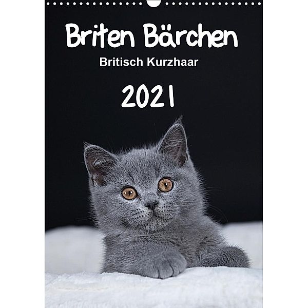 Briten Bärchen - Britisch Kurzhaar 2021 (Wandkalender 2021 DIN A3 hoch), Heidi Bollich