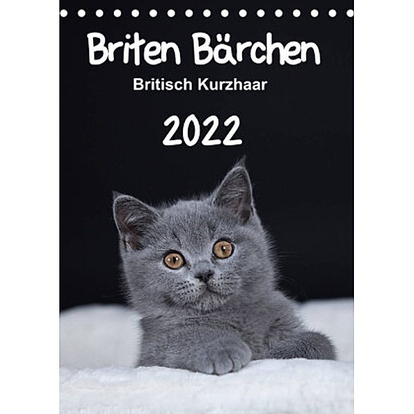 Briten Bärchen - Britisch Kurzhaar 2022 (Tischkalender 2022 DIN A5 hoch), Heidi Bollich