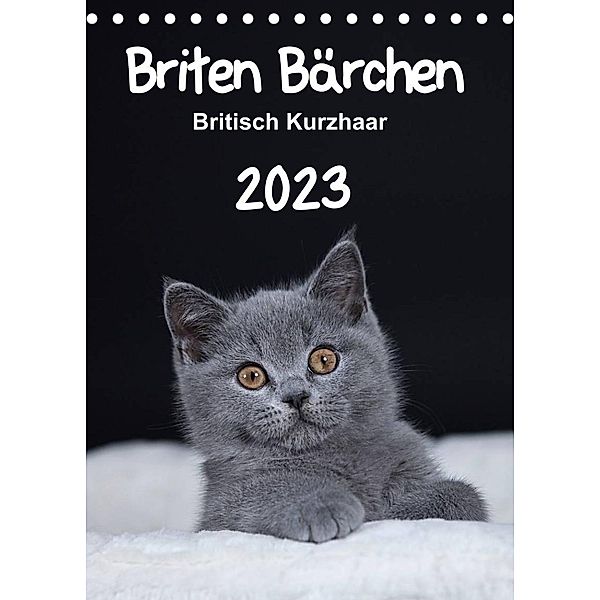 Briten Bärchen - Britisch Kurzhaar 2023 (Tischkalender 2023 DIN A5 hoch), Heidi Bollich