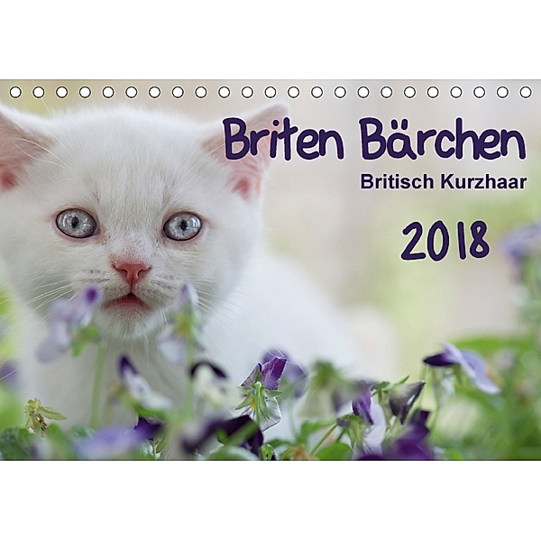 Briten Bärchen - Britsch Kurzhaar 2018 (Tischkalender 2018 DIN A5 quer), Heidi Bollich