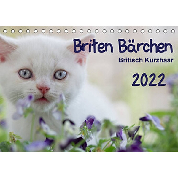 Briten Bärchen  - Britsch Kurzhaar 2022 (Tischkalender 2022 DIN A5 quer), Heidi Bollich