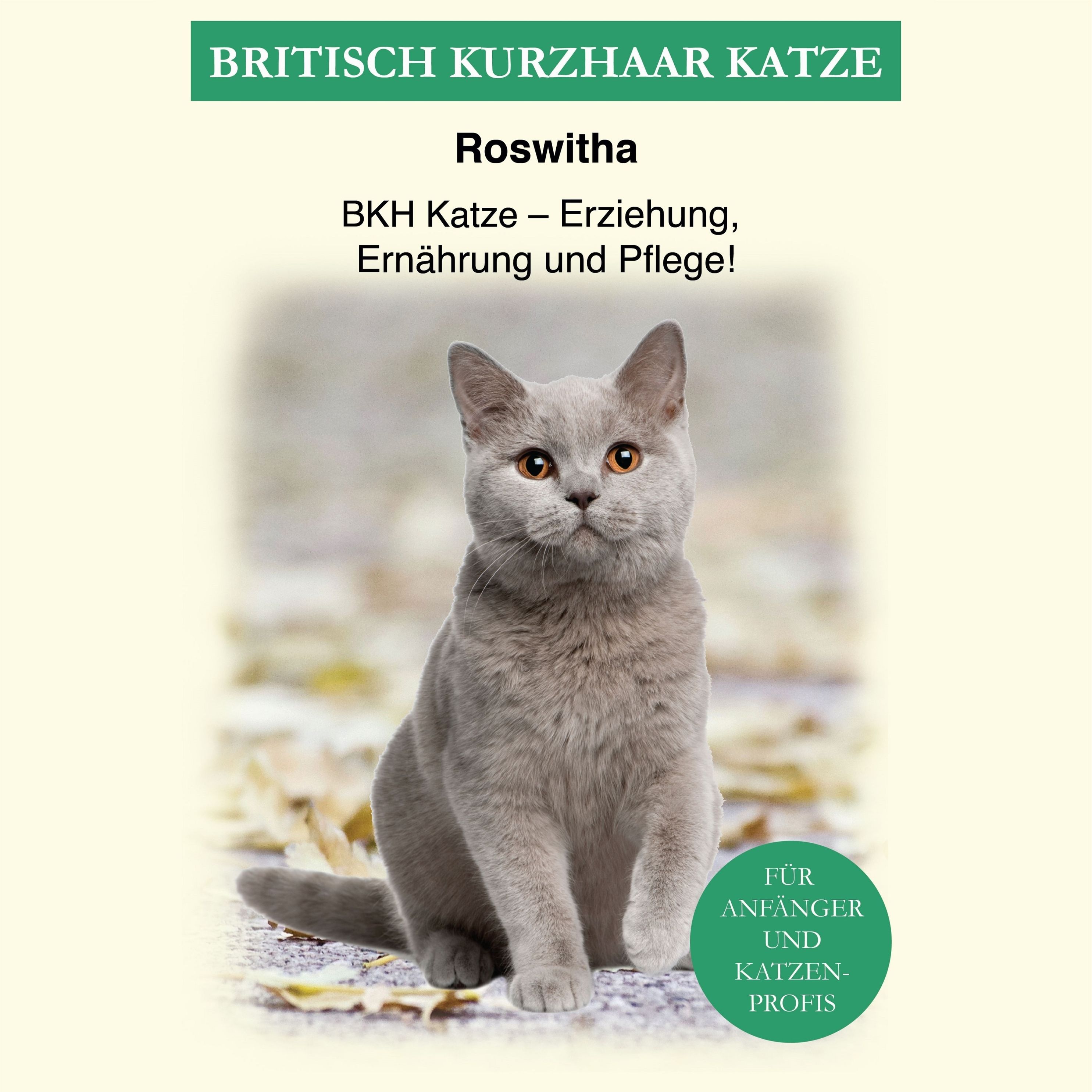 Britisch Kurzhaar Katze Hörbuch downloaden bei Weltbild.at