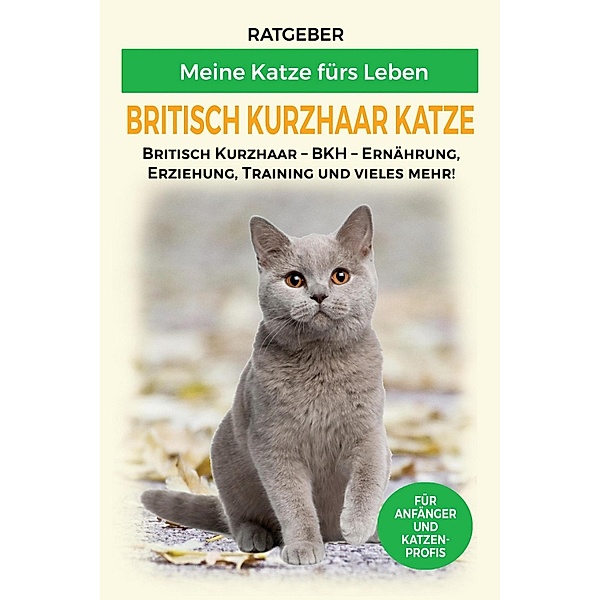 Britisch Kurzhaar Katze, Meine Katze fürs Leben Ratgeber