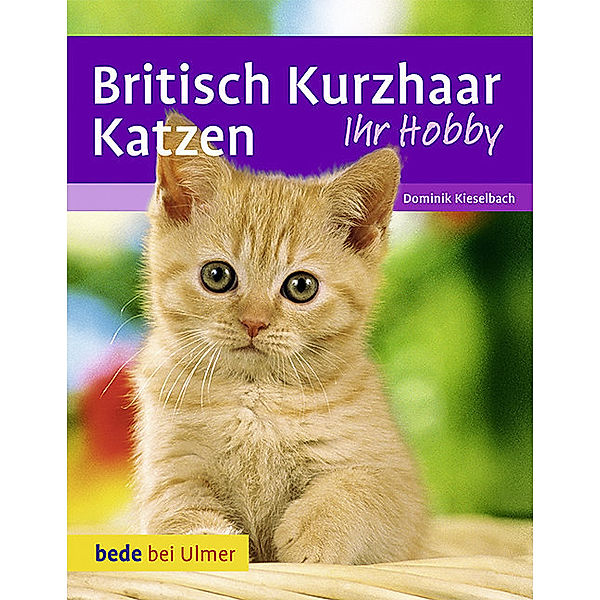 Britisch Kurzhaar Katzen, Dominik Kieselbach, Heidi Betz