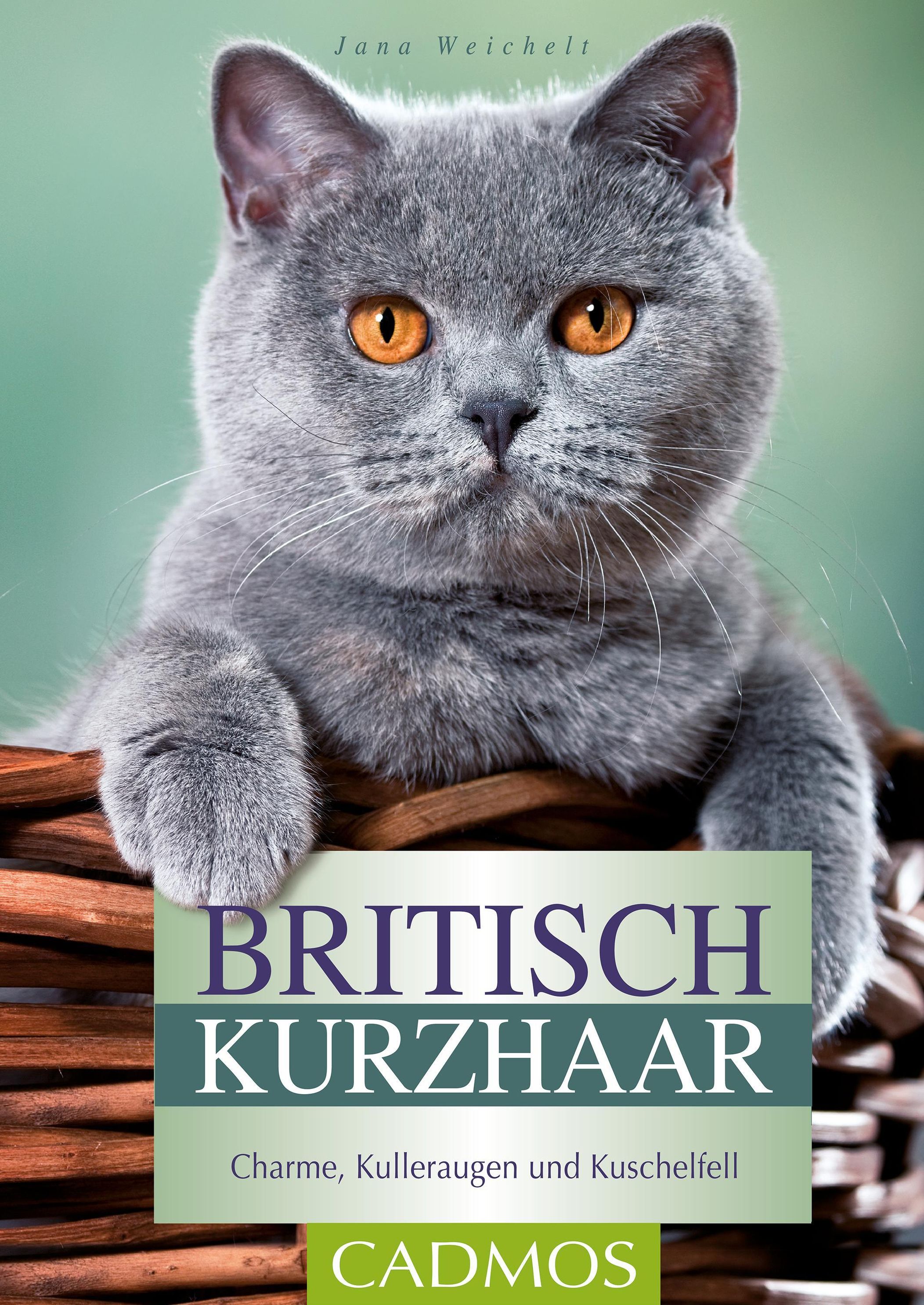Britisch Kurzhaar Katzen eBook v. Jana Weichelt | Weltbild